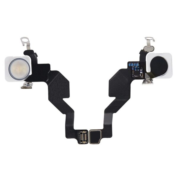 Flash Light