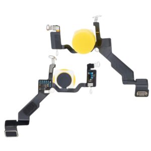 Flash Light