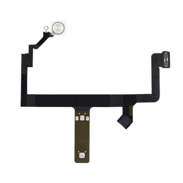Flash Light